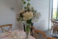 IMG_20200725_144830607