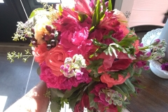 IMG_20200725_170001560