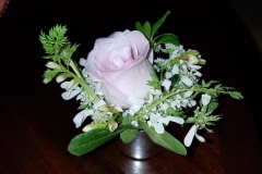 d54d9790-4456-4fc9-8a17-bf5f4003569d